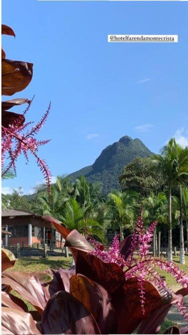 Hotel Fazenda Monte Crista Rio Bonito (Santa Catarina) Exterior foto